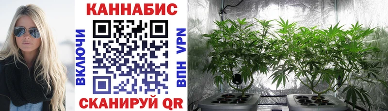 Наркота Верхняя Тура МЕГА как войти Альфа ПВП АМФ Меф мяу мяу LSD-25 ГАШ Бошки Шишки