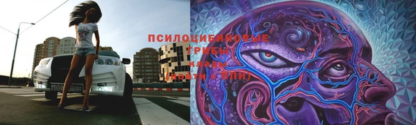 СК Верхний Тагил