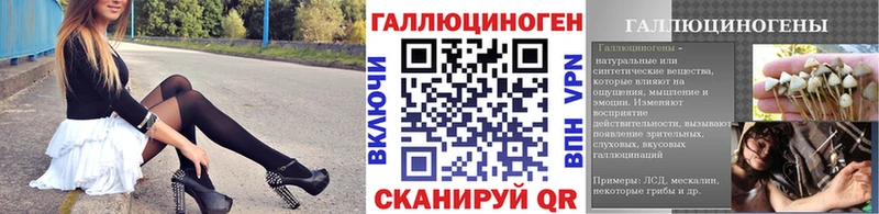 Галлюциногенные грибы Psilocybe  Верхняя Тура 
