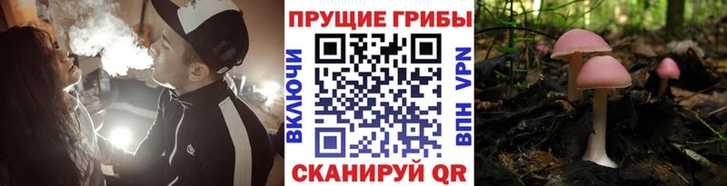 Галлюциногенные грибы GOLDEN TEACHER Верхняя Тура
